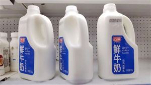 河北省奶牛育种联合攻关项目（2026-2030年）正式启动