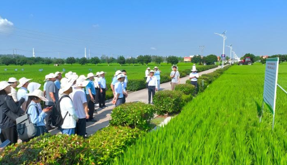 观摩交流促转化 智能精准施肥技术落地长江中下游现代农业科技试验示范基地
