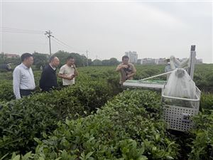 丘陵山区茶叶装备现场观摩活动在南昌举办 助力茶产业高质量发展